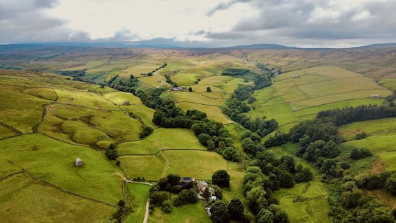 Upper Nidderdale - Well House at bottom of picture